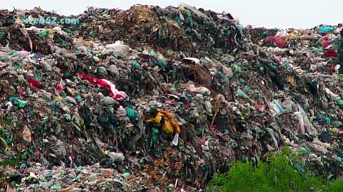 photo The Dangkor Dumpsite Phnom Penh