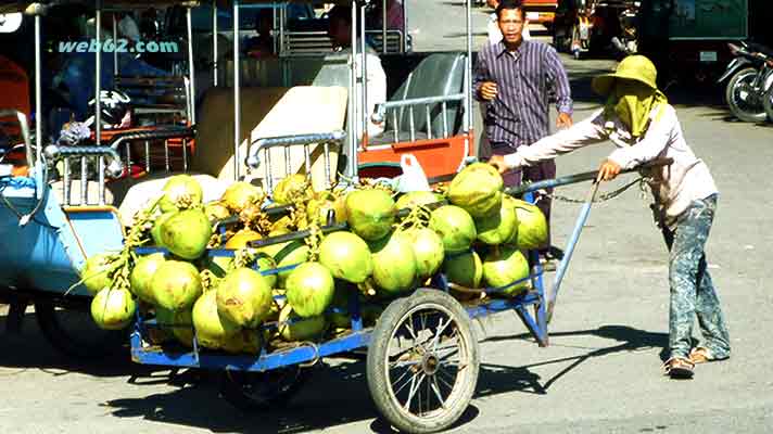 Coconuts in Phnom Penh