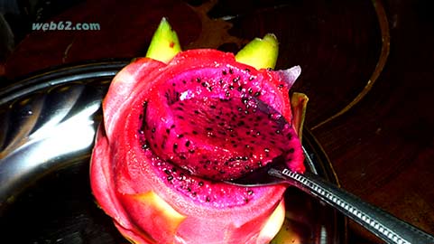 Red Dragon Fruit