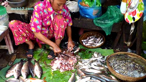 Fish market in Phnom Penh