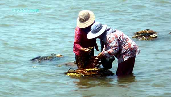 Crab Market in Kep