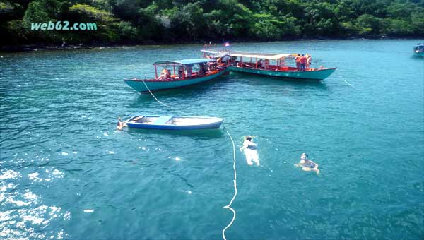 Snorkeling Tour