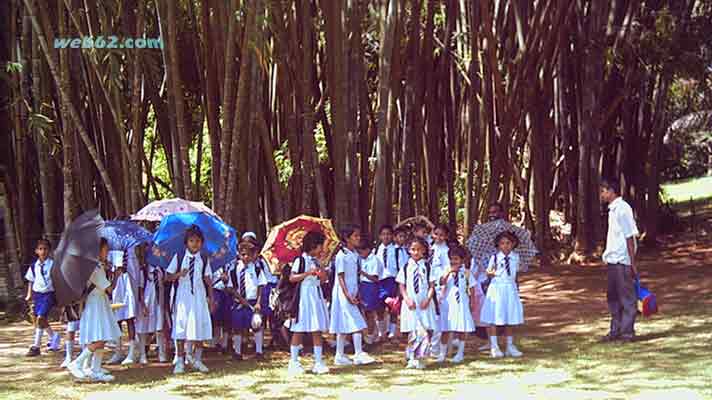 Kandy Botanical Garden