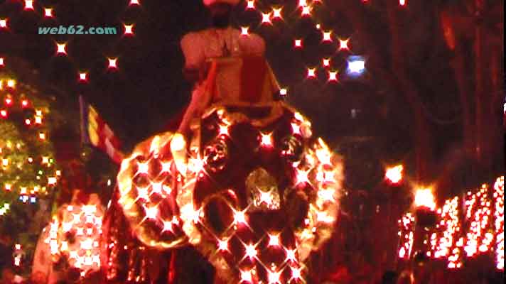 photo Kandy Perehara Elephants