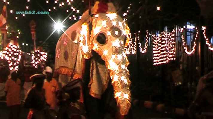 Kandy Perehara Elephants