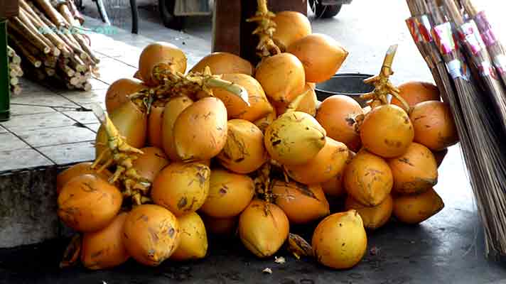 photo Sri Lanka fruit King Coconut