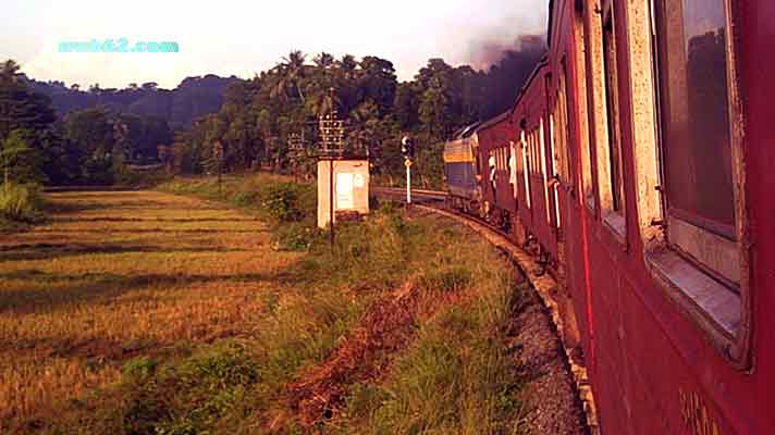 Photo from a train ride in Sri Lanka