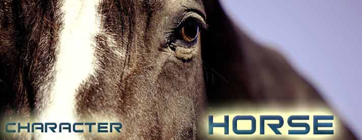 Chinese Horocope symbol Horse