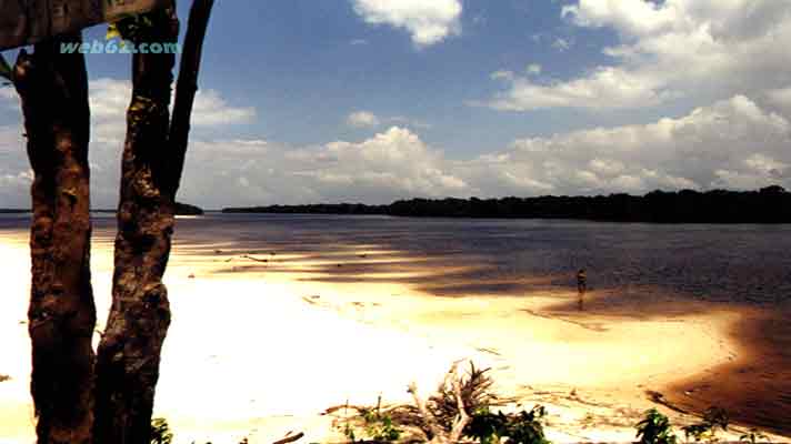 Rio Negro Beaches Manaus