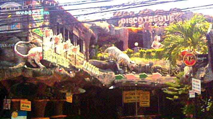 Tiger on Bangla road in Patong