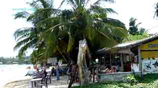 Photo from the La Tartaruga restaurant in Unawatuna, Sri Lanka Unawatuna La Tartaruga restaurant