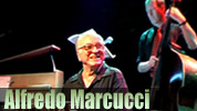 Alfredo Marcucci